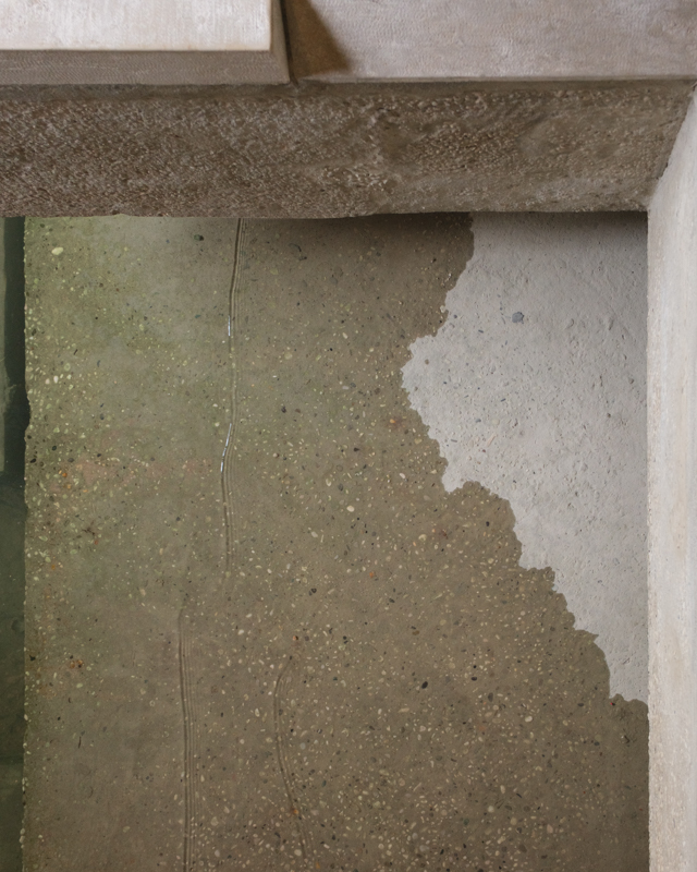 Area Scarpa_10246